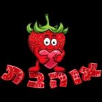 מדבקות