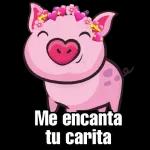 Stickers de cerdo animado