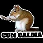 Porqué no me contestas