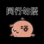小水豚（諧音梗篇）