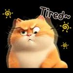 cute cat ❤️❤️