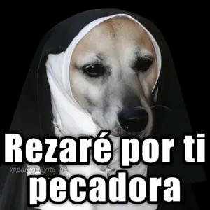 2rZRYh