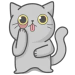 cute cat ❤️❤️