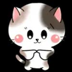 Cats! For reply