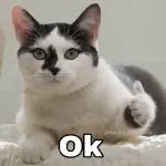 Lovely stickers only for you 🎁