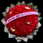 QUIERES SER MI NOVIA?