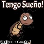 verito 09