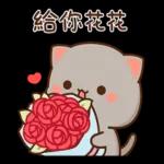 蜜桃貓和小伙伴戀愛了