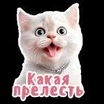 by jj