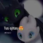 Hacia la Gran Vedad