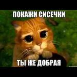 ЖДУ.ТЕБЯ ДОМА!