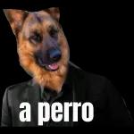 arbiels MyLife VEN Y CÓG3ME 