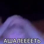 Monkeys
                            Get buck