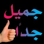ملصقات مفضلة