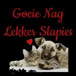 GOEIE NAG!