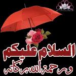 @STKRpro ارفق بحالي يمسلم