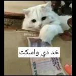 جيري