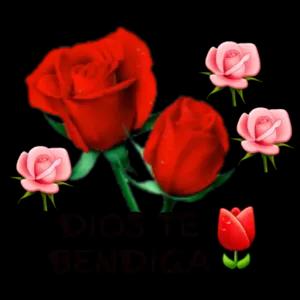 1boopre