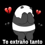 Me gustas