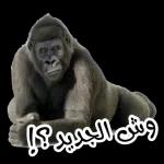 زعلان منك أنا

