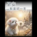 瑪爾濟斯小狗對你說早安40大貼圖-3