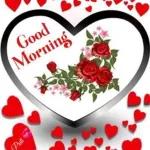 how are you guys today😘😘😘🌞🌞🌞