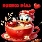 no coquetees a mi gordito