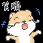 柴柴崩壞了 pack 1