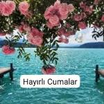 Yusuf 1975