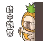 钱来钱来