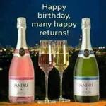 Happy Birthday (生日快樂！) 🍾