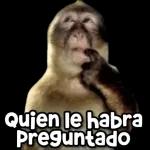 ¿Qué me ves, te gusto?