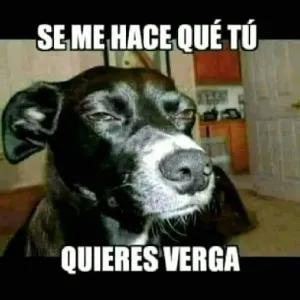 YFH4qY
