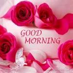 good morning