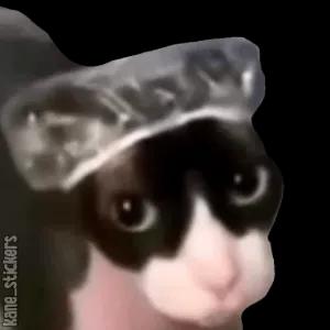 8eeup2