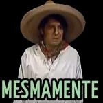 pegamemes 