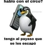 Qué tanta borracha de mensajes?