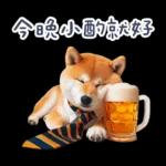 醉酒柴柴✩一醉方休