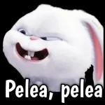 Buenos días