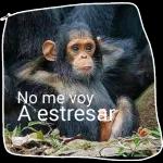 FELIZ DIA DEL AMOR Y LA AMISTAD