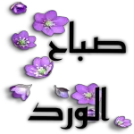 صباح الورد