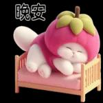 Mangosteen Meow