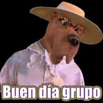 ¿Qué me ves, te gusto?