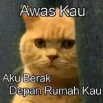 TERIMA
KASIH
info..