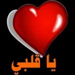 شمل
يلتيرد