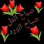 صباح الورد