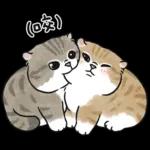 愛撒嬌的奶油小生 (虎斑貓)