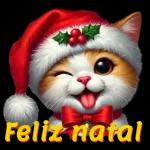 Feliz natal
