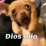 te la vas a ganar si sigues asi!