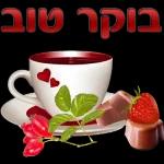 ירון סמוראי 